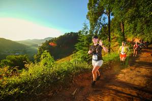 BIB: 
                            <button type="button" onclick="openModal(19169141)" class="btn btn-primary btn-sm float-right btn-popup" data-toggle="modal" data-target=".modal-high-quality">
                        <i class="fas fa-shopping-cart"></i> Add to Cart
                    </button>
                                            <button type="button" onclick="isThisMe(19169141, true)" class="btn btn-success btn-sm float-right btn-popup btn-isme hidden" data-toggle="tooltip" data-placement="bottom" title="นี่คือรูปของคุณใช่ไหม คลิกที่นี่เพื่อเอาเข้าอัลบั้ม">
                        <i class="fas fa-plus"></i> Add to album
                    </button>
                    <button type="button" onclick="isThisMe(19169141, false)" class="btn btn-warning btn-sm float-right btn-popup btn-isnotme hidden">
                        <i class="fas fa-ban"></i> Remove from album
                    </button>